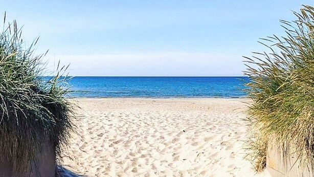 House | Beach - 4 Star Holiday Home in Mellbystrand (Mellbystrand)