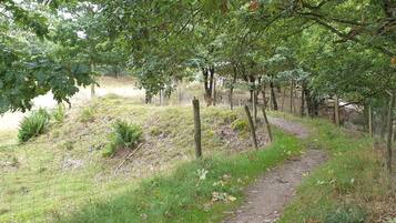 House | Property grounds