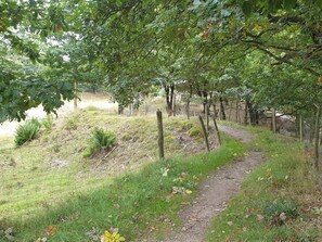 独立别墅 | 住宿场地