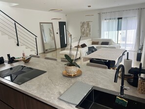 Een moderne keuken met een ingebouwde kookplaat, een spoelbak en een aanrecht met een plant.