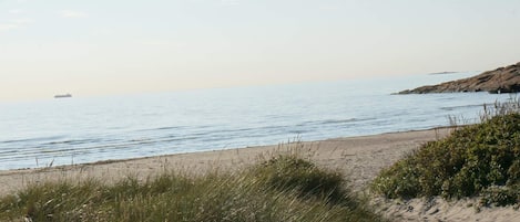 A beach with a sandy shore, grassy dunes, and a calm sea.