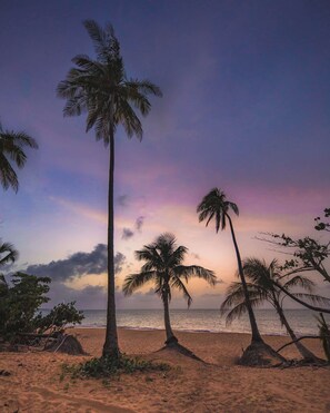 On the beach
