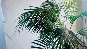 Een ruime woonkamer met een moderne bank, een salontafel en een decoratief behang.
