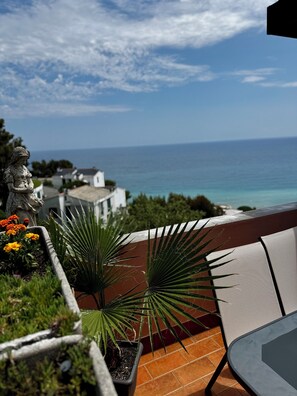 Une terrasse avec vue sur la mer, une statue et des plantes en pot.