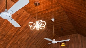 Zona de recepción con techo de madera, mostrador curvo, ventilador de techo e iluminación colgante.