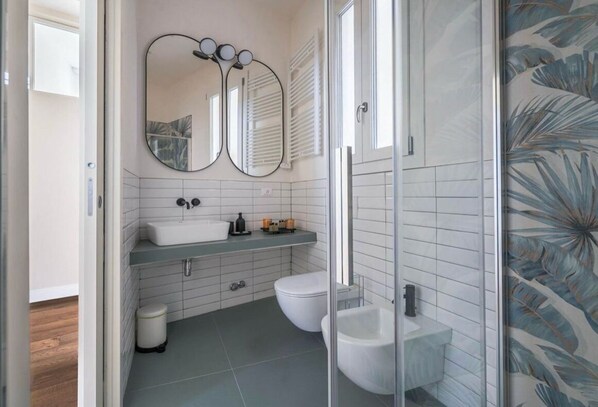 Shower, hair dryer, bidet, towels