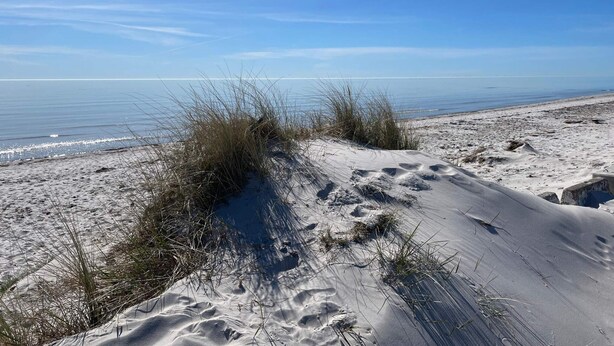 A sandy beach with dunes and sparse vegetation. - 5 Star Holiday Home in Hammenhog (Hammenhög)