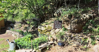 GĂźte autonome isolĂ© en pleine forĂȘt, Ă proximitĂ© du plateau d'Yzeron