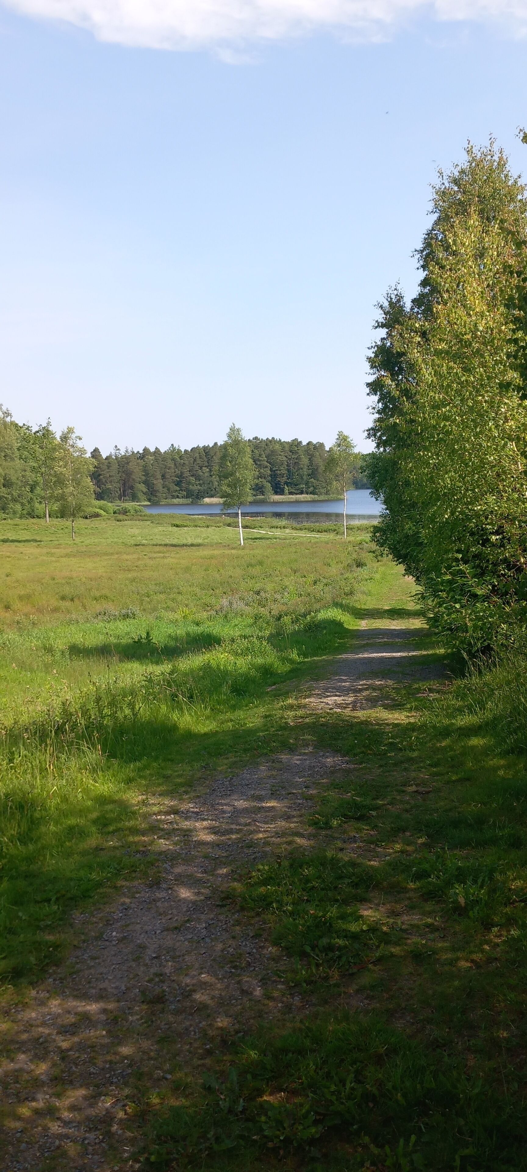 Un paysage rural avec un chemin de terre menant à un plan d’eau, entouré d’arbres et d’herbe.