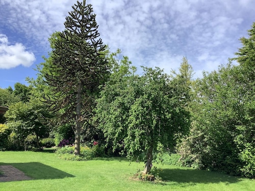 10 Person Holiday Home in Spottrup