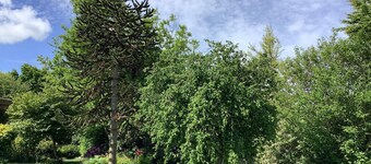 10 Person Holiday Home in Spottrup