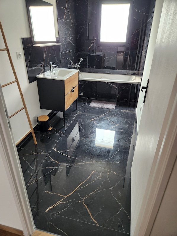 Shower, hair dryer, soap, toilet paper