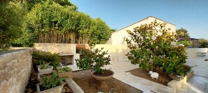 Terras