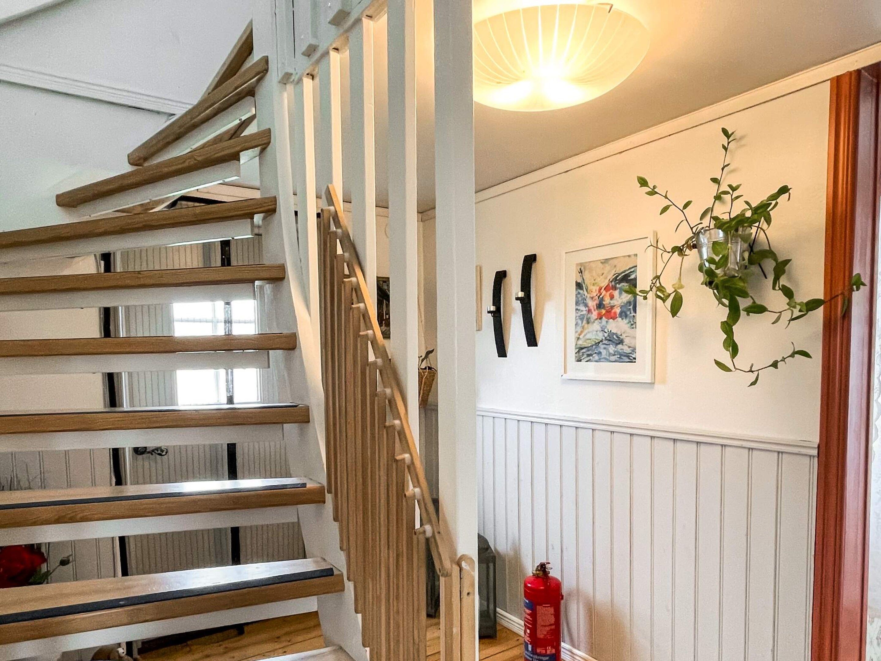 A staircase with wooden steps and white railings, a wall-mounted fire extinguisher, and a hanging plant.