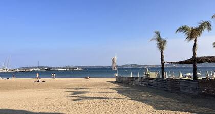 Incredible sea view-beach 300m away-pool-parking-fully renovated-2 bedrooms
