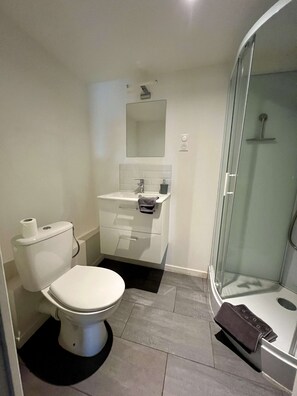 Shower, hair dryer, towels - 5-minute walk from TGV station (CHATELLERAULT)