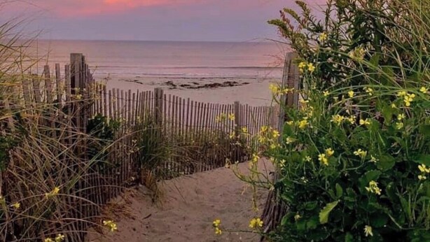 Un sentier sablonneux menant à une plage, bordé d’une clôture en bois et de part et d’autre par de la végétation.