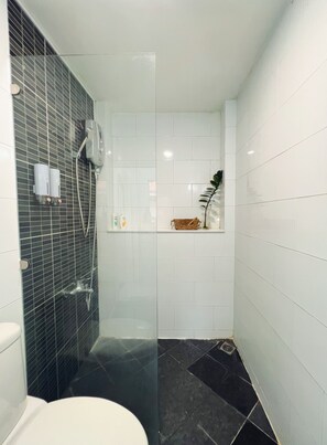 Shower, hair dryer, bidet, towels