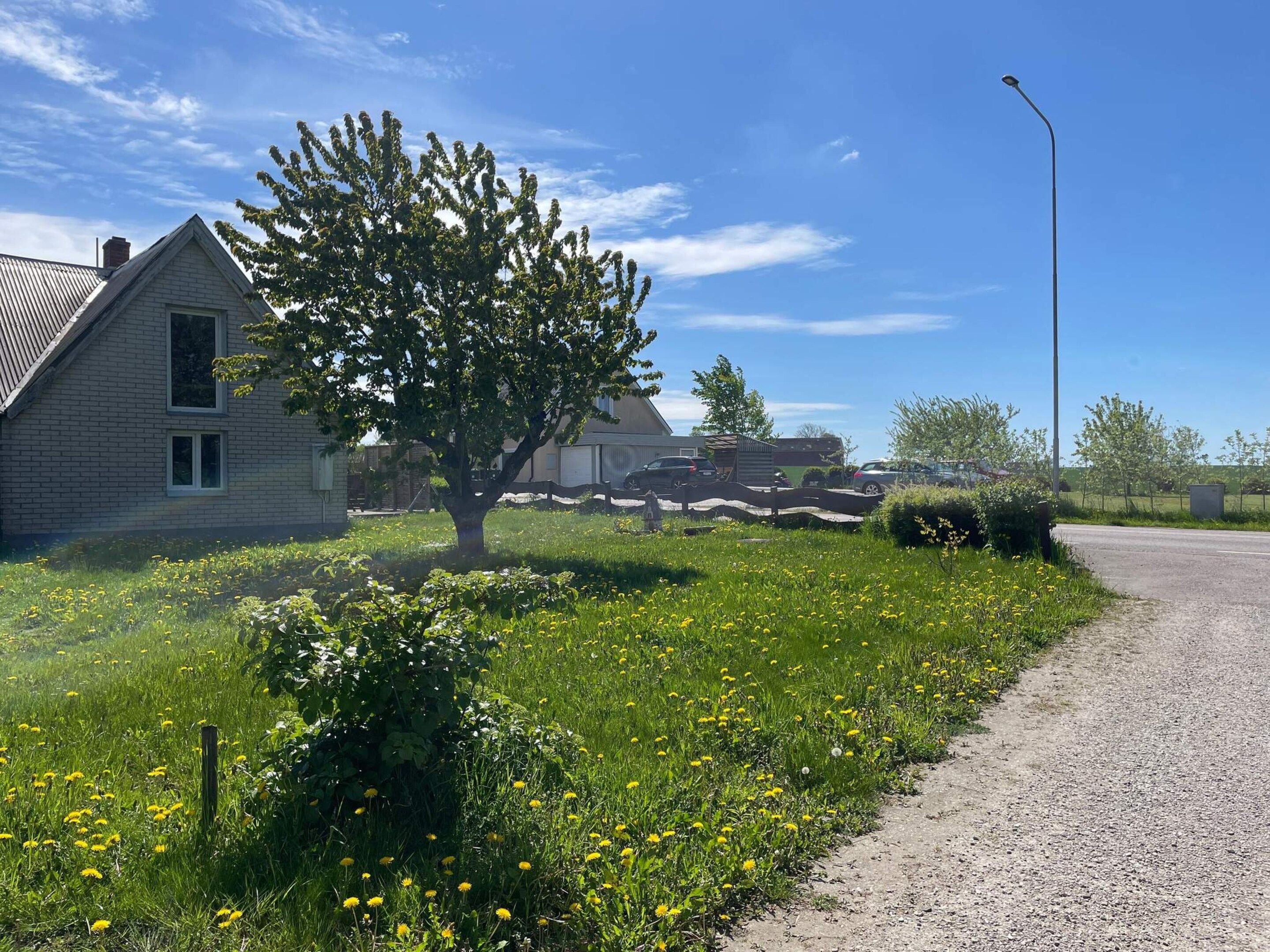 A residential area with a house, a tree, and a gravel path.