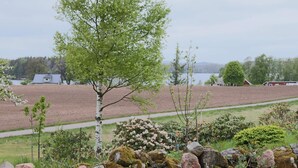 Ländliche Landschaft mit einer Steinmauer, einer Birke und Feldern.