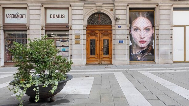 A building facade with signs for 'ARREDAMENTI' and 'DOMUS' businesses, a large potted plant, and a prominent billboard. - Trieste Chic Studio Historic Elegance (Trieste)