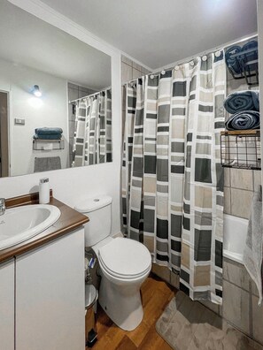 Hair dryer, towels, soap, toilet paper - Apartment with view to the Lake and 2 Volcanoes (Villarrica)