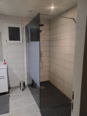 Shower, hair dryer