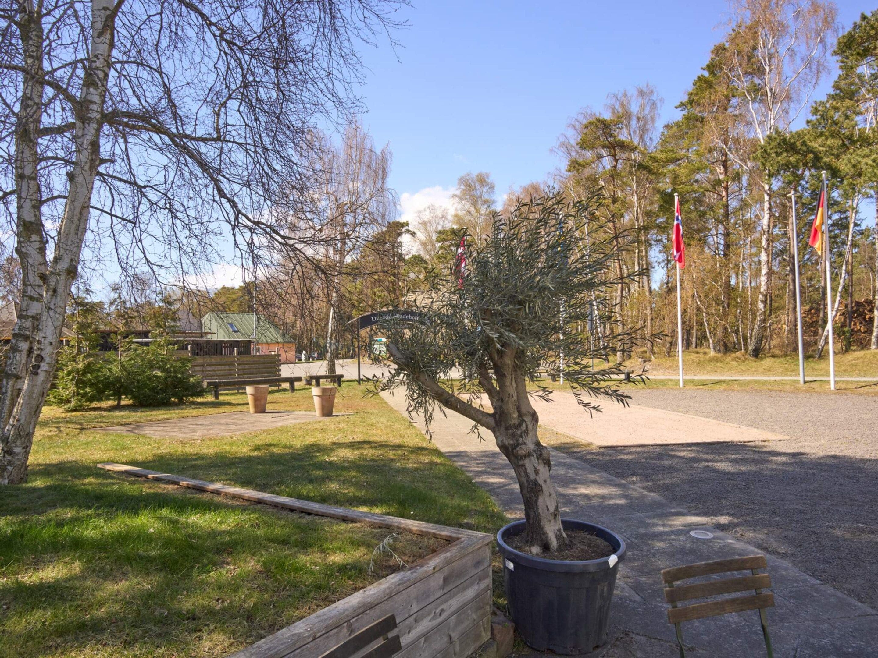 A park with a wooden bench, a potted tree, and a paved path.