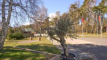 A park with a wooden bench, a potted tree, and a paved path.
