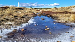 Eine natürliche Landschaft mit einem Wasserlauf, grasbewachsenen Ufern und einem Leuchtturm in der Ferne.