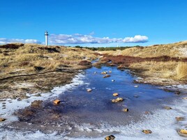 Un paysage naturel avec un cours d’eau, des berges verdoyantes et un phare visible au loin.
