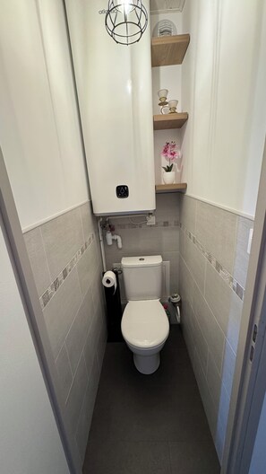 Shower, hair dryer