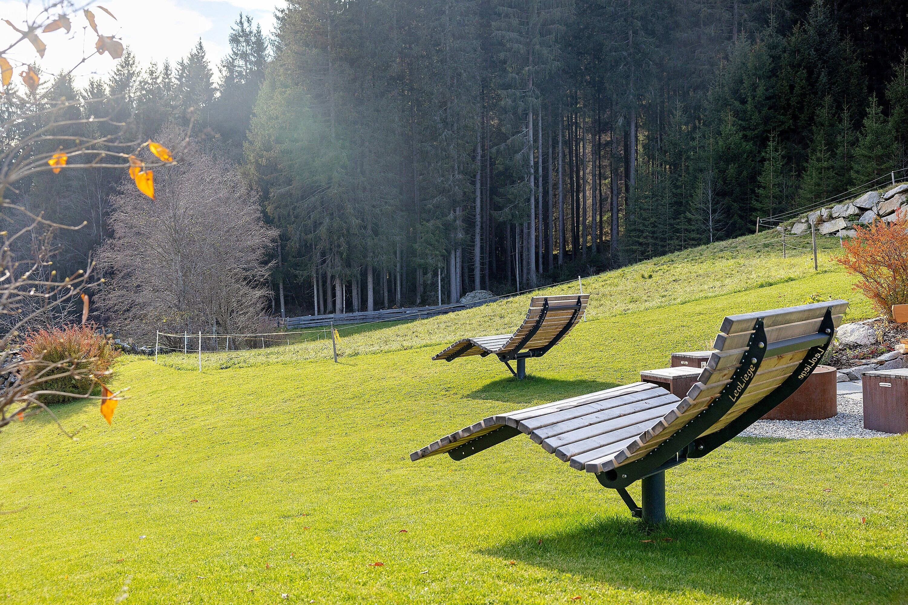 A park with two wooden benches, a grassy slope, and a dense forest in the background.