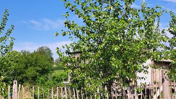 Servei de restauració a l'aire lliure