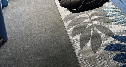 Blue Ridge Bliss-Historic Roanoke 2BR Apt Near Carilion & Downtown-Pet Friendly