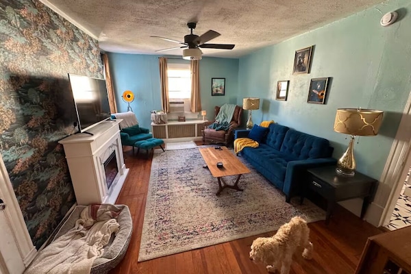 Televisión, chimenea