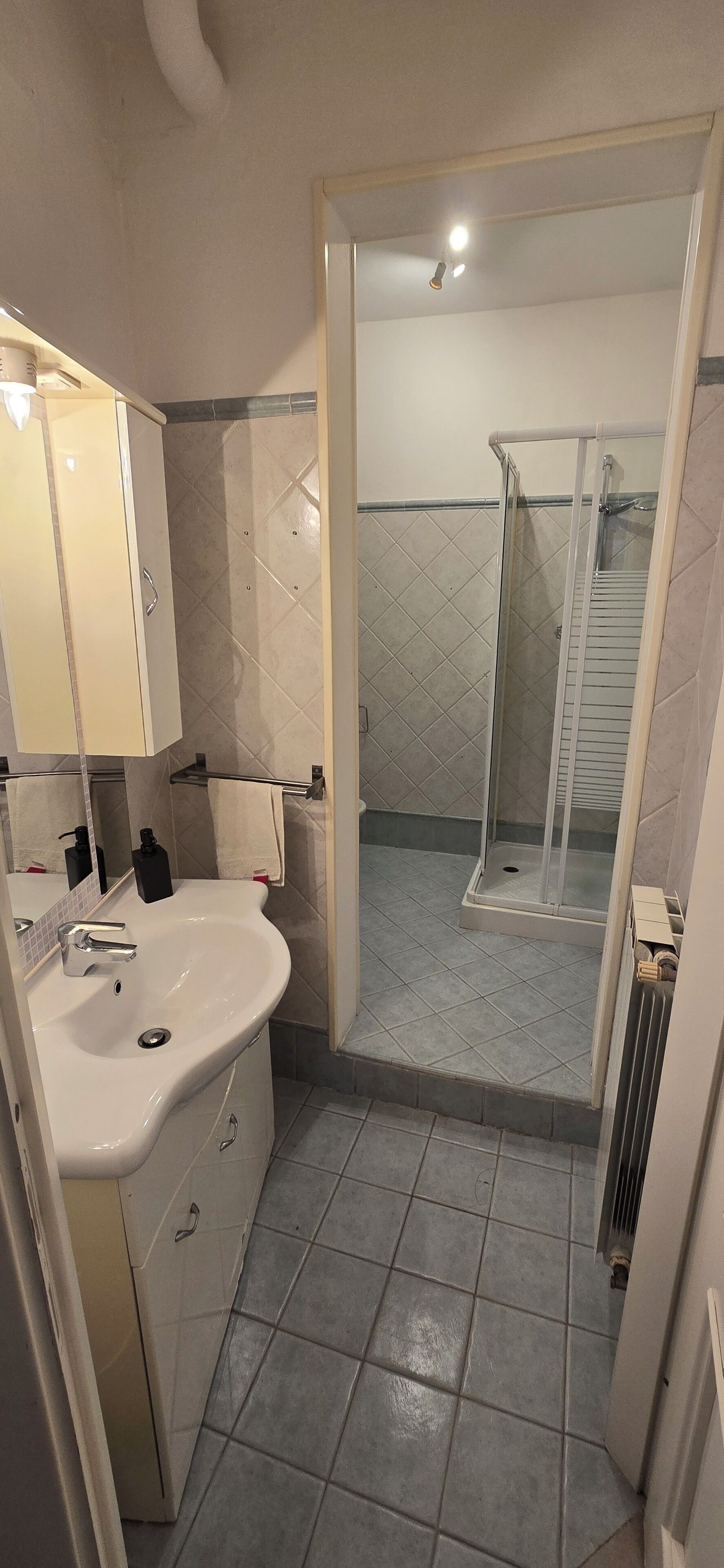 Hair dryer, bidet, towels, soap