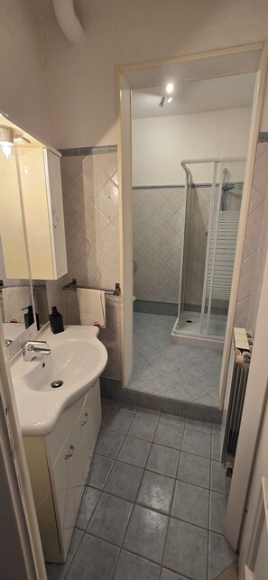 Haartrockner, Bidet, Handtücher, Seife