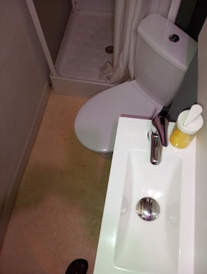 Dusche, Handtücher, Seife, Toilettenpapier