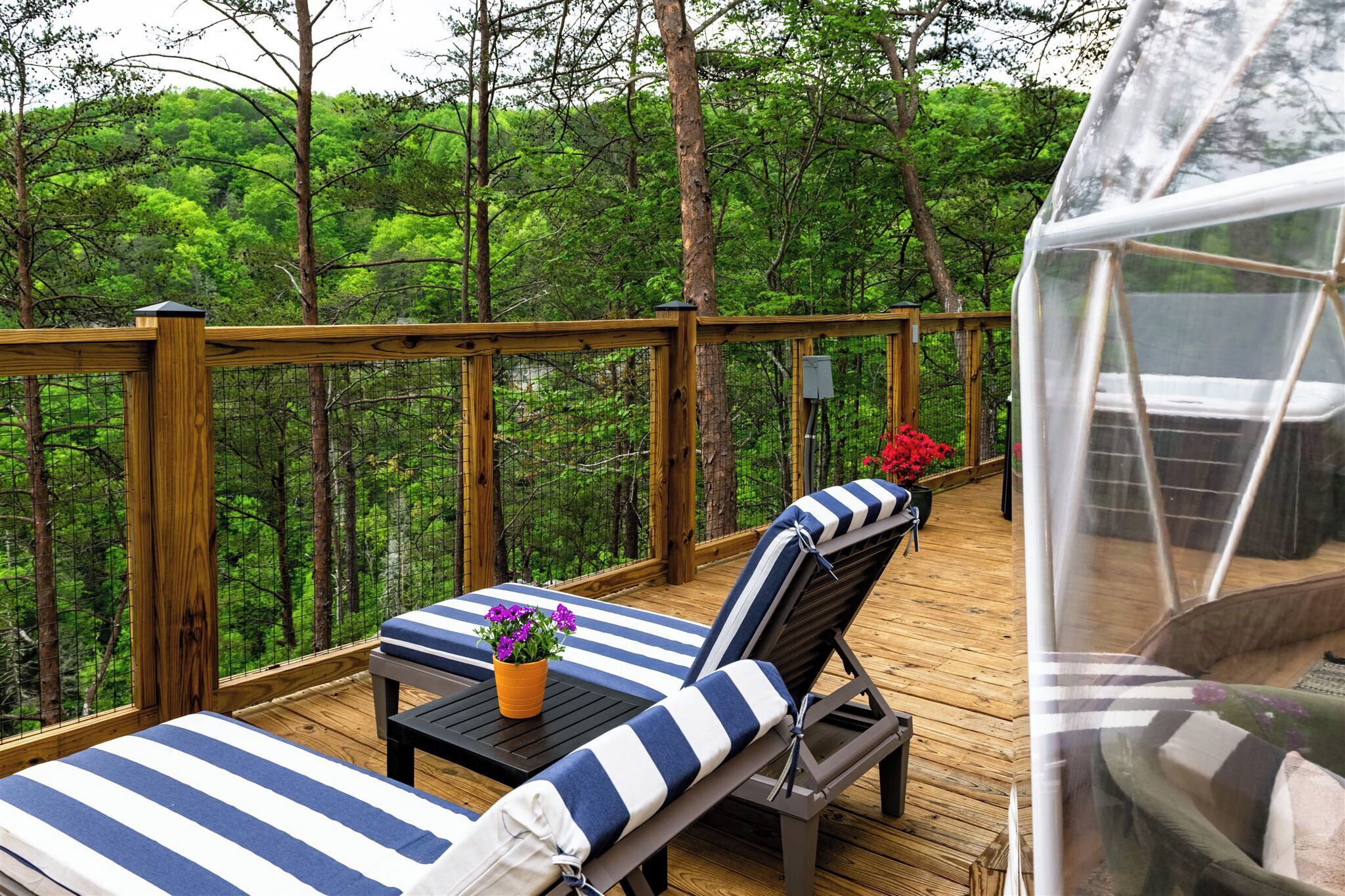 Tree House Luxe, vue montagne | Terrasse/Patio