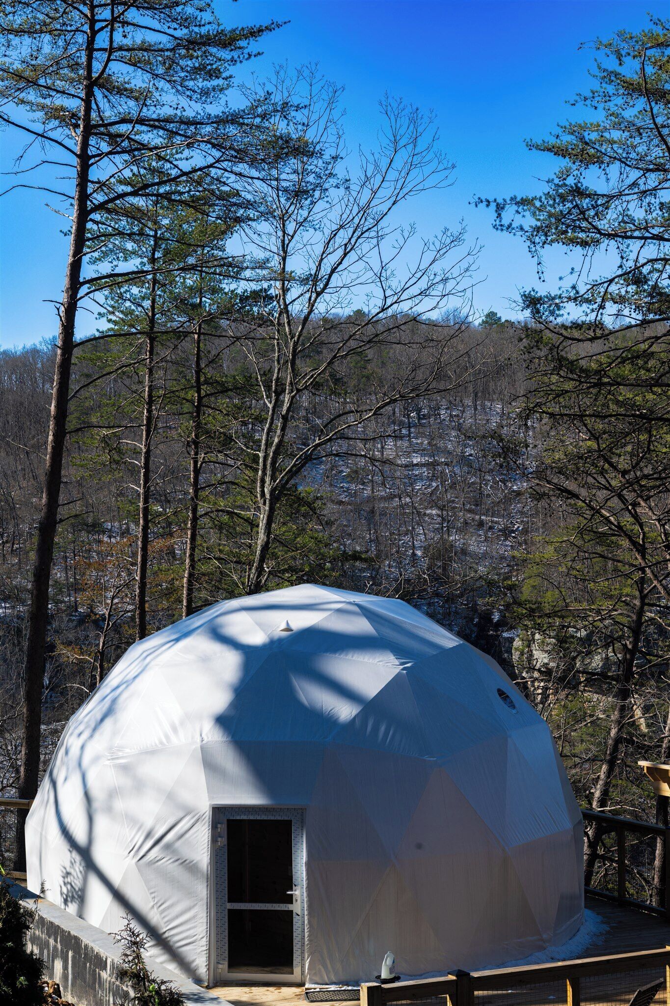 A dome-shaped structure with a door, surrounded by trees and a wooden deck.