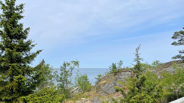 A coastal landscape with rocky terrain, dense greenery, and a wooden railing. - 4 Star Holiday Home in Vaddo (Väddö)