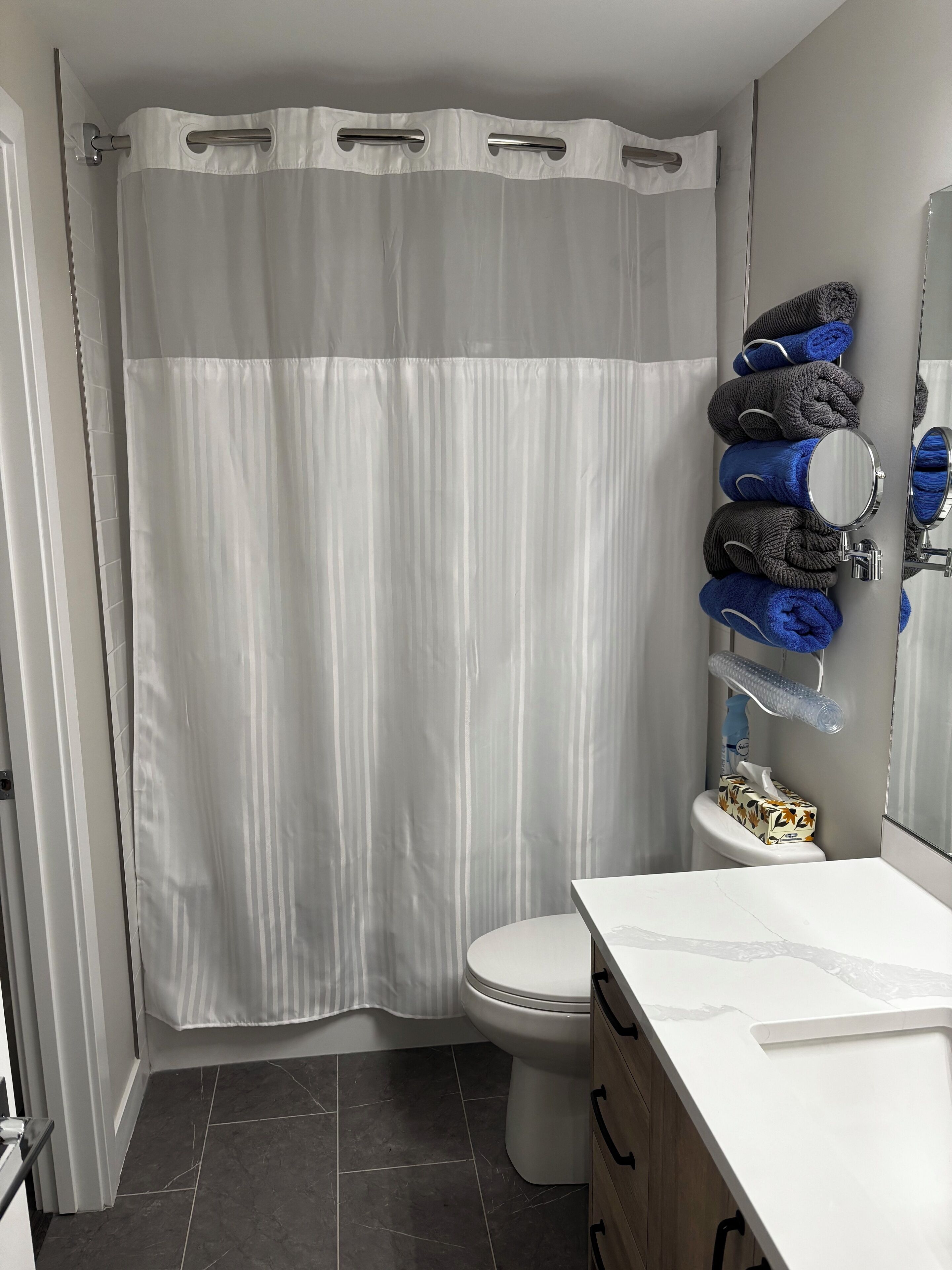 Hair dryer, towels, soap, toilet paper