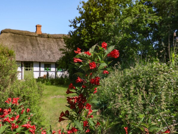 House | View from property