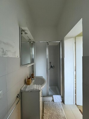 Secador de cabelo, toalhas de banho, sabonete