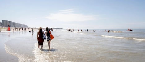 Vista desde la propiedad