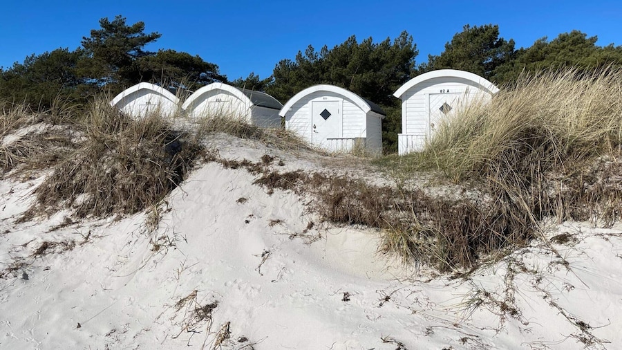 4 Star Holiday Home in Loddekopinge