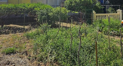 Seaside Serenity Studio Antica