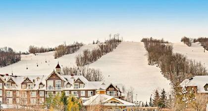 Quiet Hillside Studio