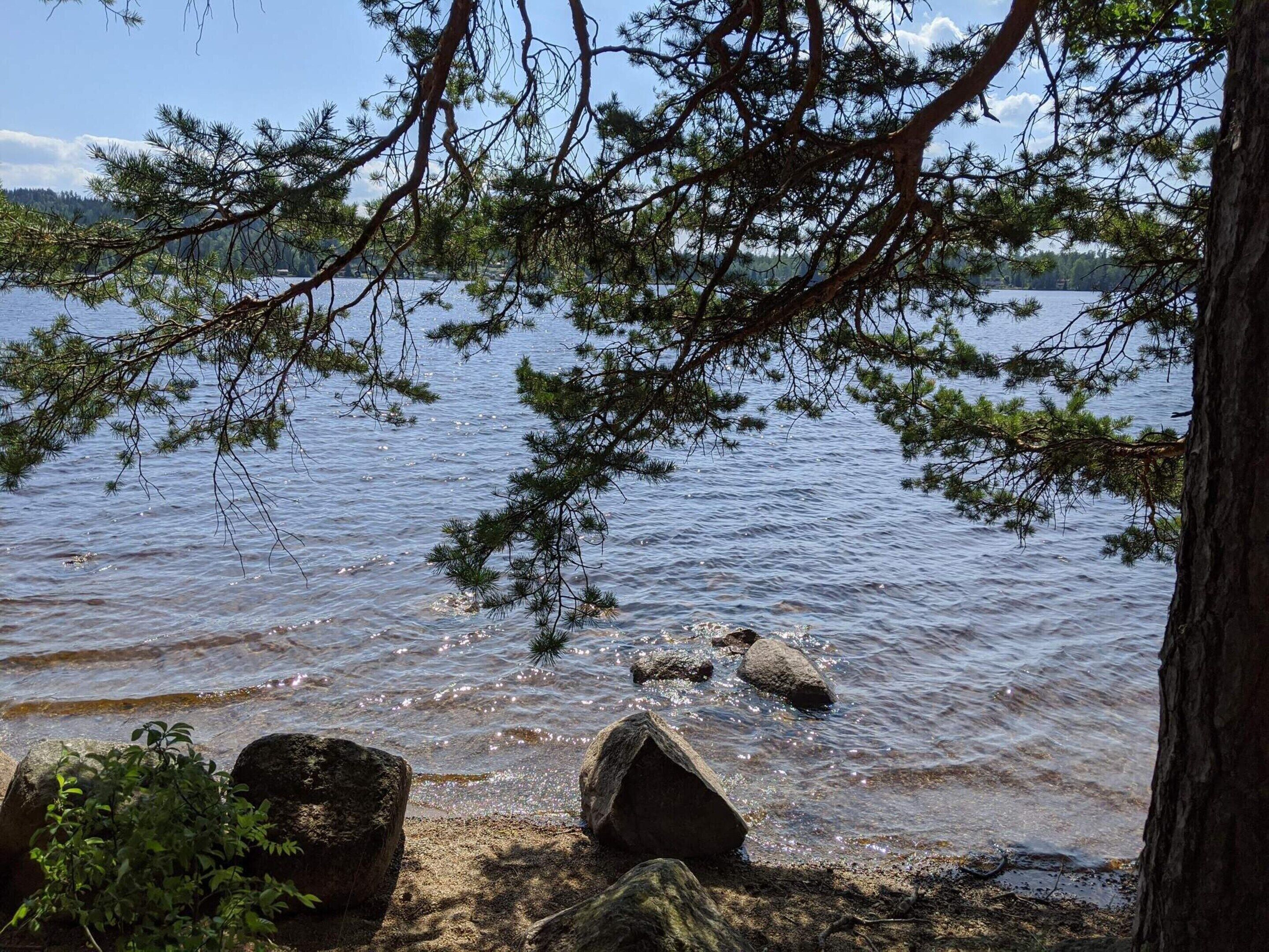 A lake with clear water, surrounded by trees and rocks.